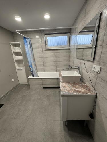 a bathroom with a sink and a bath tub at Florina namai in Marijampolė