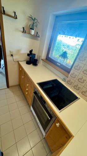 a kitchen with a counter top with a window at Pension Schmidt - Wipfelblick - Voll ausgestattetes Loft Apartment in Häusern