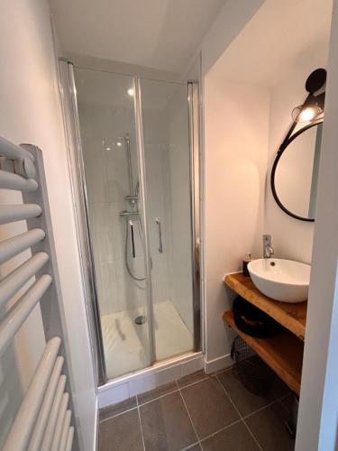 une salle de bain avec douche et lavabo dans l'établissement Les Logis du Petit Prince, à La Teste-de-Buch