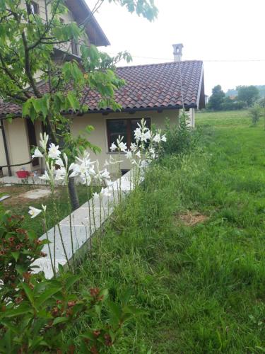 a house with white flowers in the yard at Cascina Nuova in Mombasiglio