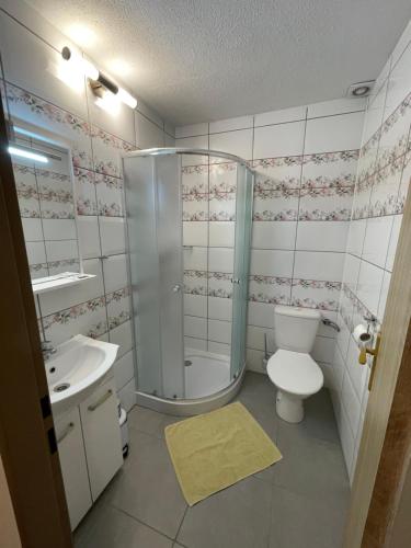 a bathroom with a shower and a toilet and a sink at Penzion a Vinárna Velký dvůr in Pasohlávky