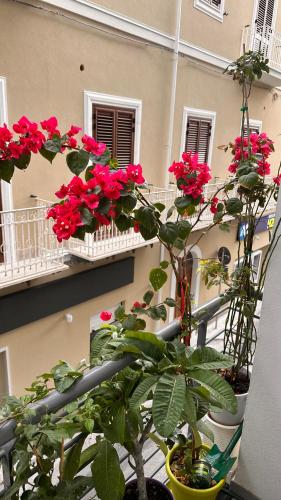 Μπαλκόνι ή βεράντα στο Home Sicilia
