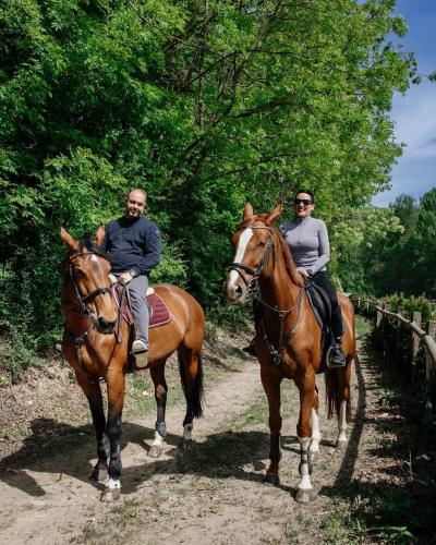 two people riding horses down a dirt road at Penzion U Zběhlíka in Svitavy