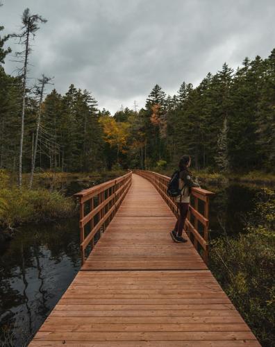 a person standing on a wooden bridge over a river at Huttopia Les Deux Lacs - Laurentides in Mont-Blanc