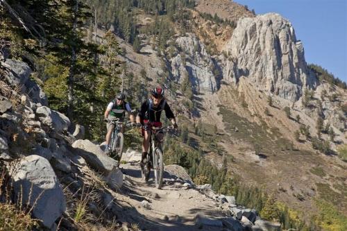 two people riding bikes on a mountain trail at The Summit 67 in Old Mammoth
