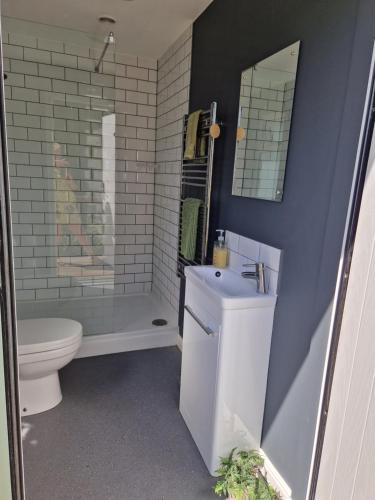 a bathroom with a sink and a toilet and a mirror at Cranfield Retreat & Glamping in Long Melford