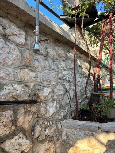 a stone wall with a plant in a pot at BASTADUR rooms in Kotor