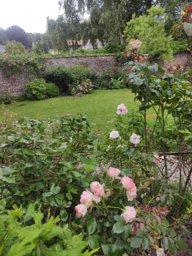 a garden with pink roses and a brick wall at Les agapanthes in Le Bourg-Dun