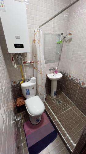 a small bathroom with a toilet and a sink at B&B Giza in Samarkand