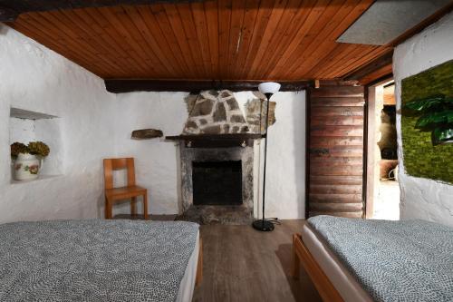 Gallery image of Rustico sul fiume Verzasca in Corippo