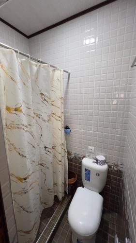 a bathroom with a toilet and a tiled wall at B&B Giza in Samarkand