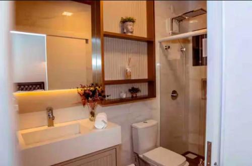 Un baño con inodoro, lavabo y ducha. en Casa do Vinho no Altos da Serra, en Bom Jardim da Serra