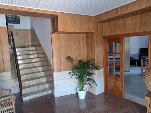 a potted plant in a room with a staircase at Hostal Alborán in Motril