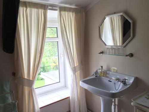 a bathroom with a sink and a window at Parc Farm B&B in Llanarth