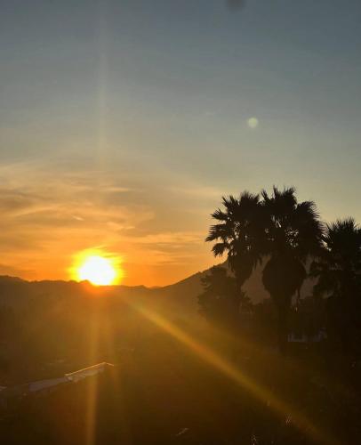 a sunset with palm trees and the sun in the sky at Alto Paraiso Glamping in Carmen de Viboral