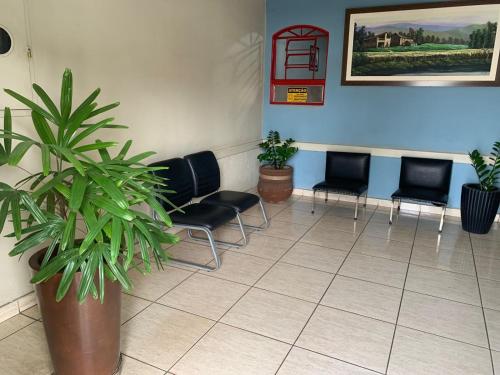 a waiting room with chairs and a potted plant at Hotel Santo Antoninho in Goiânia