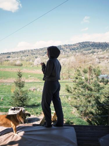 a person flying a kite with a dog at Mahiya Vitriv in Staryy Sambor