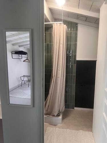 a bathroom with a shower and a mirror at Petite maison en bois Sauternais in Illats
