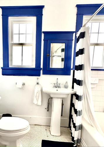 a blue bathroom with a toilet and a sink at Mid City 2 BR- beautiful, renovated Arts & Crafts Flat in New Orleans