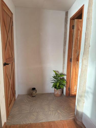 a hallway with an open door and a potted plant at Monkey House Hostel in Tola