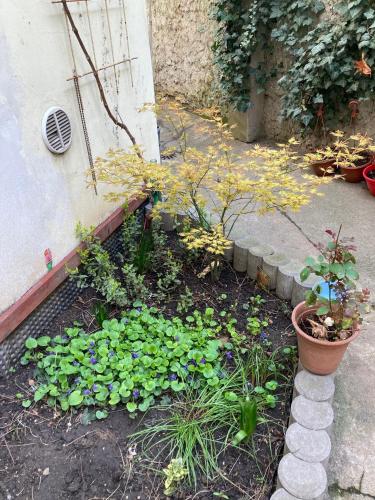 a garden with flowers and plants in front of a building at Aparthotel City 5 in Prague