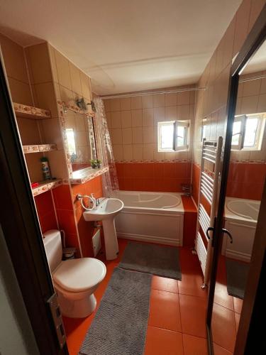 a bathroom with a toilet and a tub and a sink at Belvedere apartament in Lupeni