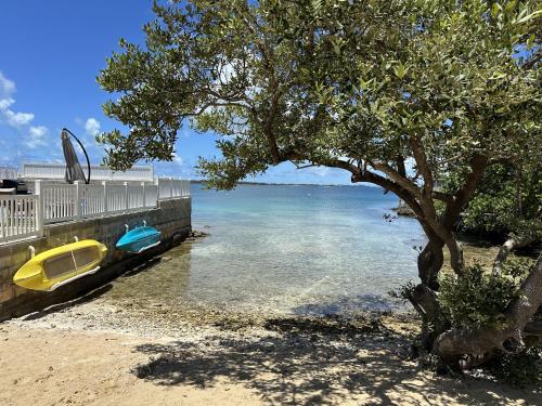 a tree and a yellow boat on the beach at Blue Water in Southampton