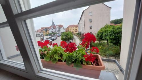 a window with a pot of red flowers on a balcony at Hotel Kutzbach in Reuterstadt Stavenhagen
