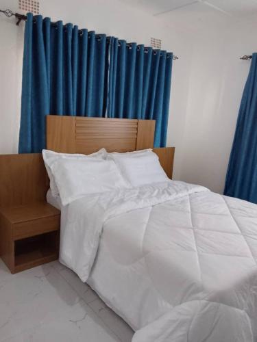 Gallery image of Black Diamond Luxury Apartments in Ndola