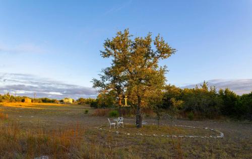 a tree in a field with a bench next to a tree at Monte Mahala Casa Vega in Johnson City