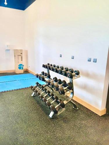 a gym with a rack of weights at Brand New Apartment- Flower Nest by Verdant Garden C1-4 in Moka