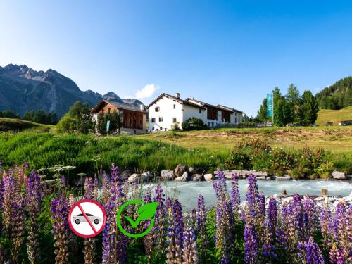 a no swimming sign next to a river with purple flowers at Hotel Chesa Pool in Sils Maria