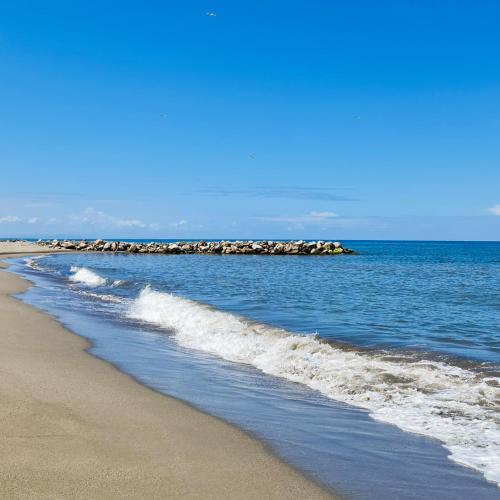 a beach with a group of rocks in the water at Hotel Partenon Beach in La Ceiba