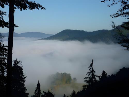 a foggy view of a lake in the mountains at Haus Harter in Wolfach