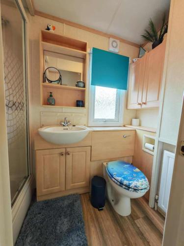 a small bathroom with a toilet and a sink at Summer Dreams in Amroth