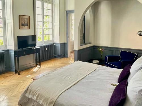 スミュール・アン・ノーソワにあるHôtel Particulier, Maison Jazey.の大きなベッドとテレビのある寝室