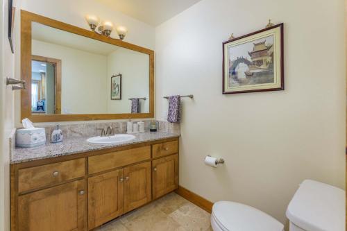 a bathroom with a sink and a toilet and a mirror at Beautiful 3bd Sanctuary Inside Yosemite in Wawona