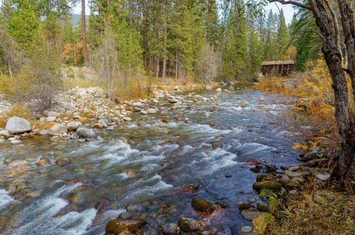 a river with rocks and a bridge in a forest at Beautiful 3bd Sanctuary Inside Yosemite in Wawona