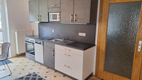 a kitchen with a sink and a counter top at Atelier-FEWO-Polenztal in Neustadt in Sachsen