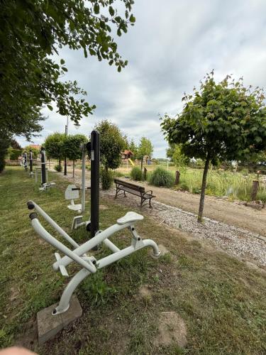 a group of baseball equipment in a park at Agroturystka Jaśkowo 