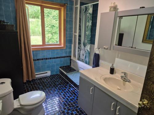 ein Badezimmer mit Waschbecken und Toilette und einem Fenster in der Unterkunft Villa de la Montagne in Sainte-Rose-du-Nord