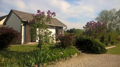 a house with purple flowers in the yard at Nyírfás Camping in Nagykanizsa