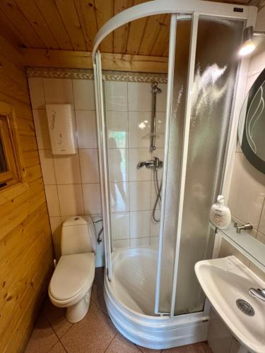 a bathroom with a shower and a toilet and a sink at Jesionowy domek in Augustów