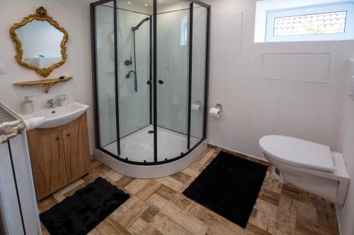 a bathroom with a shower and a toilet and a sink at Apartman louis A102 in Tomášikovo