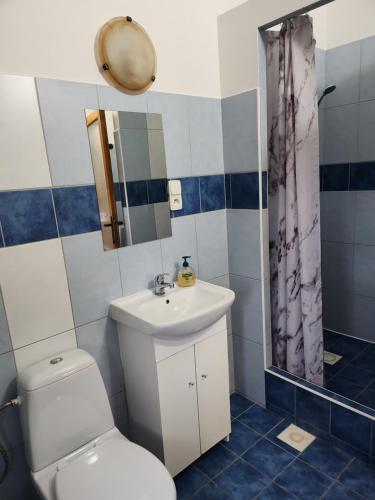 a bathroom with a toilet and a sink at Penzion Bamako in Chřibská