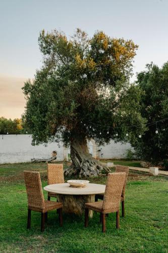 a table and chairs in front of a tree at Masseria della Piana in Villanova di Ostuni