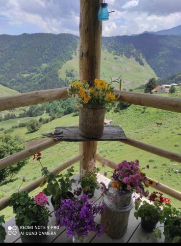 Imagen de la galería de Vasos Home, en Tusheti