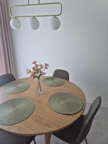 Fotografie z fotogalerie ubytování Apartament ZAMKOWA PARK Węgorzewo v destinaci Úhořevo