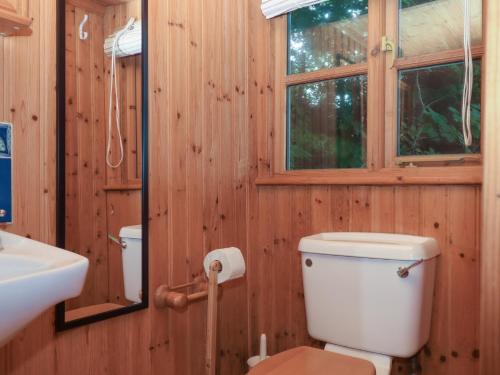 a bathroom with a toilet and a sink and a window at The Sharpham Boat House in Totnes