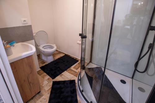 ein Badezimmer mit Toilette und Glasdusche in der Unterkunft Villa Vintage -Room A 103 in Tomášikovo